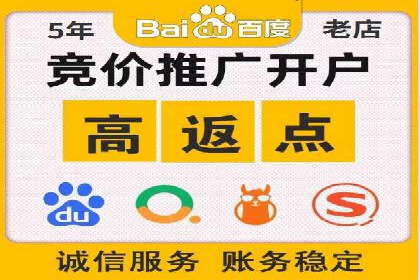 案例研究：SEM开户助力电商快速崛起